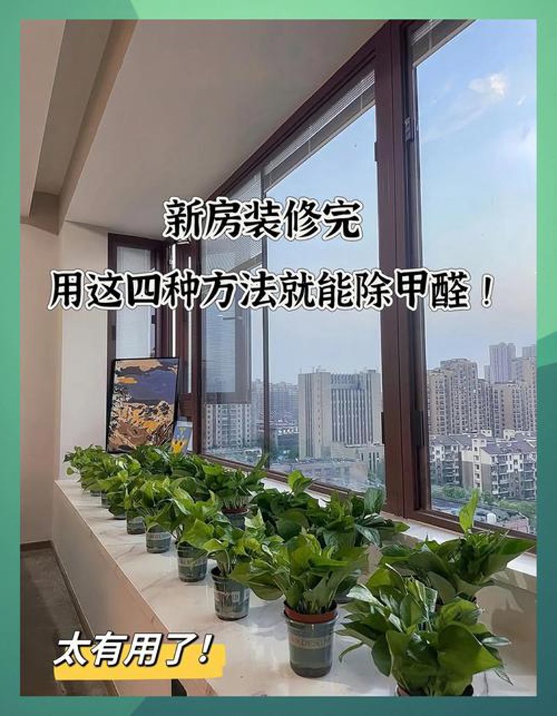 新房去甲醛